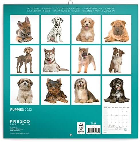 כלבי קבוצת Presco 2023, לוח השנה של גורים, לוח שנה חודשי, 16 חודשים תלויים קבוצת Presco Sep 2022 - דצמבר 2023, 12x12 אינץ '.