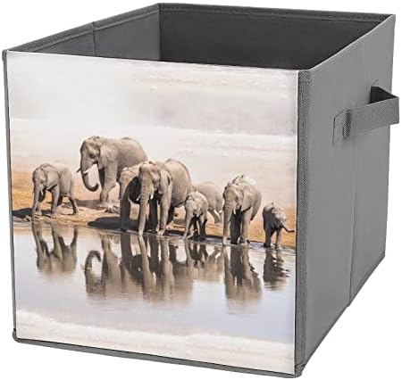 משפחה של פילים אפריקאים מתקפל אחסון פחי מתקפל קופסות בד קוביית פשוט ארגונית עם ידיות לבית שינה בגדי צעצועי ספרים 10 איקס 10 אינץ