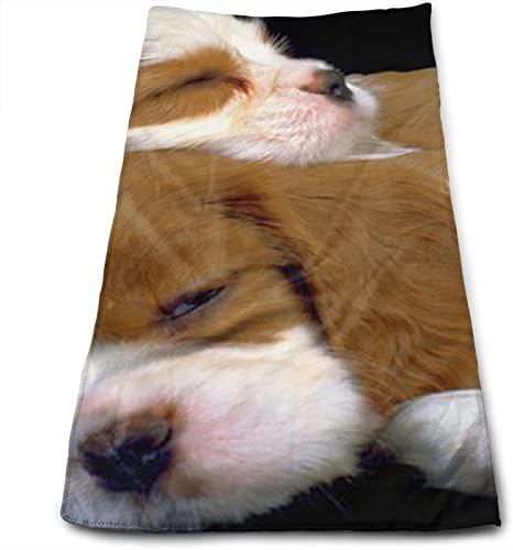 מגבת כלבים של כלב חלומי מגבת מיקרופייבר מגבת אורחת קישוטי אמבטיה ביתיים מגבת אצבעות עם ספיגה גבוהה