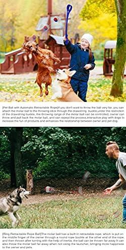 ג'ולטר חיות מחמד אימון כלב הליכה בהליכה לא אוטומטית צעצועי כלבים חיצוניים לזרוק מכשיר לזרוק מכשיר כדור זריקת כדור