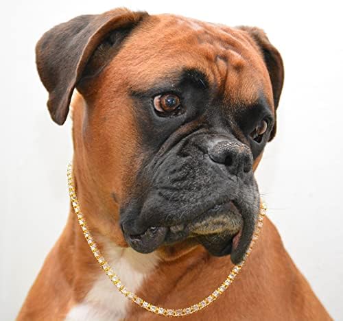שרשרת הזהב של Halukakah קרויה לכלבים גדולים, שרשרת שרשרת טניס יהלומים צווארון 6 ממ 18K מצופה זהב אמיתי בגודל 16 אינץ 'עם תיבת מתנה בחינם, קישוט בלבד