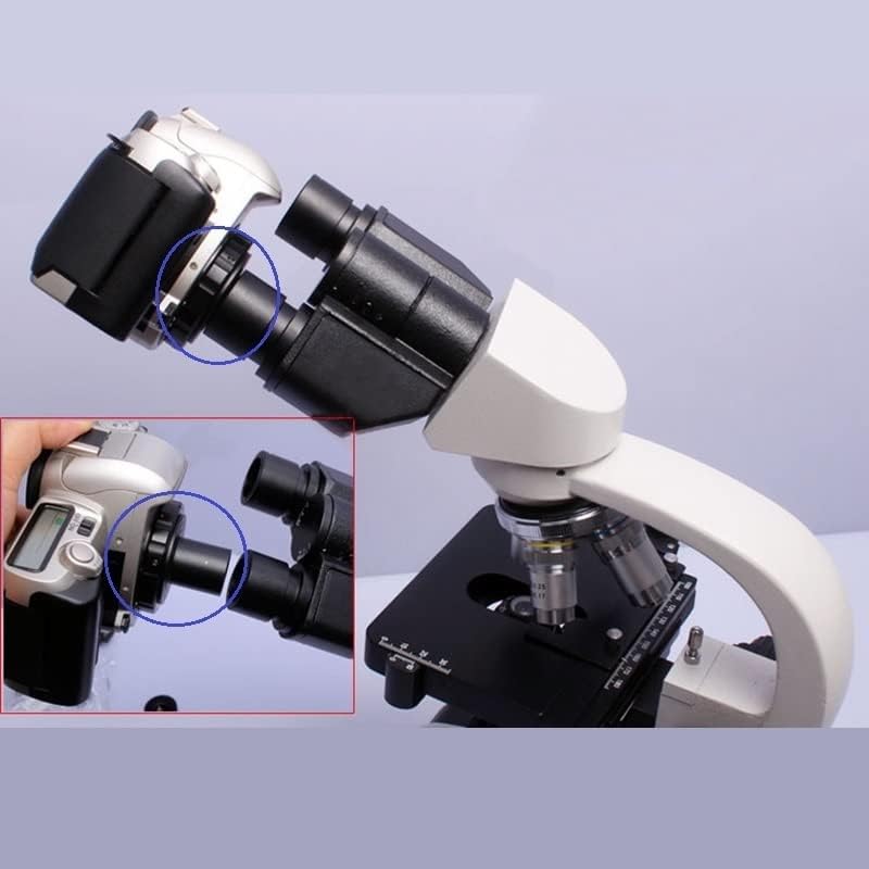 ביינג מעבדה מיקרוסקופ אביזרי מצלמה כדי 23.2 ממ 30 ממ 30.5 ממ 1.25 אינץ מתאם ו / מיקרוסקופ טלסקופ צילום דיגיטלי מצלמה