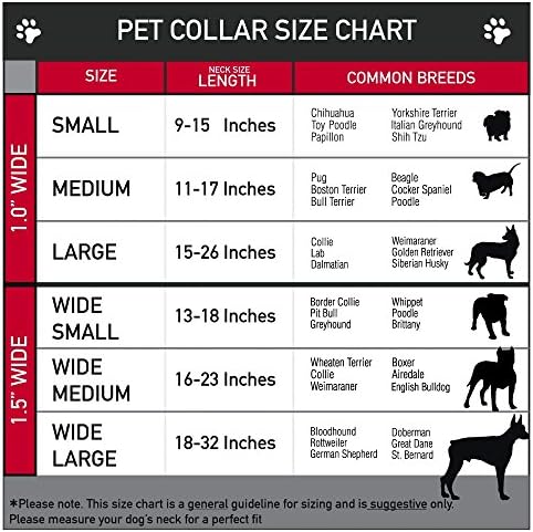 צווארון כלב אבזם בטיחות אבזם אבזם - המתים המהלכים - כולם אדומים/שחור נגועים - 1 רחב - מתאים לצוואר 15-26 - גדולים