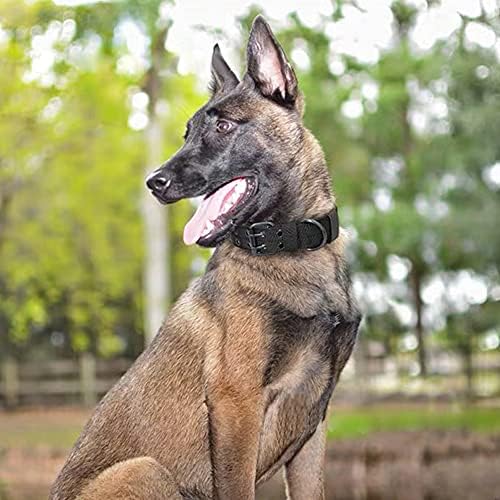 צווארון כלבים טקטי של FeiMax, צווארוני חיות מחמד צבאיים מתכווננים בכיתה צבאית עם אבזם מתכת כבד וטבעת D, לכלבים בינוניים וגדולים