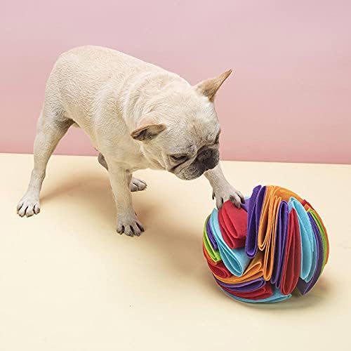 כדורי רחרח כלבים עם מוצרי חיות מחמד צבעוניים לכלבים בינוני גדול